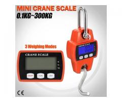 Accurate Mini Crane Scales in Uganda