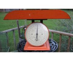 Approved Vintage Baby Weighing Scales in Uganda
