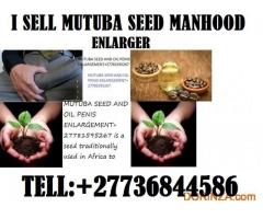 MUTUBA SEED FOR MANHOOD ENLARGER +27736844586