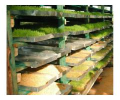 Hydroponic fodder systems