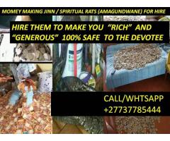 WE THEM TO MAKE YOU RICH PERMANENTLY+27737785444