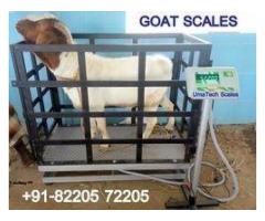 Animal weighing scales in kampala