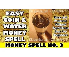Special healer to free problems+256780407791