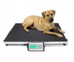 Pet platform weighing scales