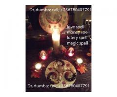 Royal Traditional witch doctor +256780407791