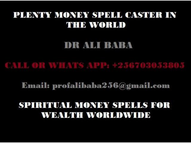 Money Spells That Work in 24 hours +256703053805