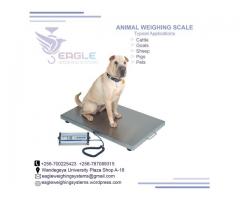 Pet platform weighing scales in kampala