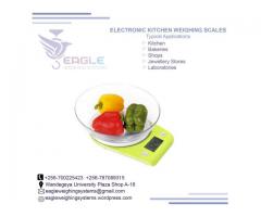Best Selling Digital Kitchen Weight Scales