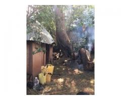 Traditional healer in South Africa +256758552799