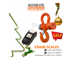 remote control crane scale +256 775259917
