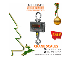 Verified crane scale at low cost+256 705577823