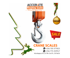 standard accurate crane scale +256 705577823