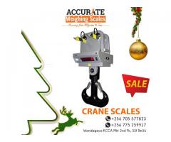 appropriate reliable crane scale+256v775259917