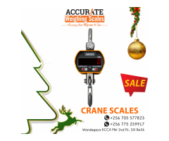 Various capacities of crane scale+256 775259917