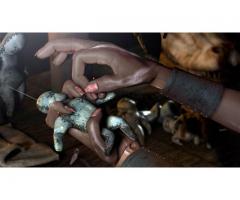 Traditional healer in	Mukono +256758552799