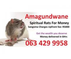 Powerful Sangoma with amagundwane  +27634299958.