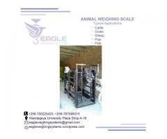 Where to buy Animal weigh scales in Kampala