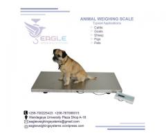 Best price of animal weigh scales in Kampala
