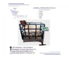 Digital platform animal weighing scales in Uganda