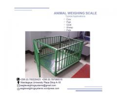 Platform animal weighing scales