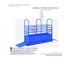 Animal Computing weighing  scales shops in Uganda