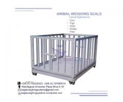 Factory digital platform animal weigh scales
