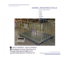 3 ton electric animal weigh scales Kampala