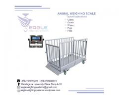 Heavy duty animal weigh scales supplier