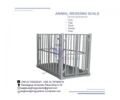 Cattle Platform Weighing Scale company