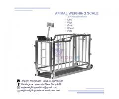 digital animal weigh scale with railing
