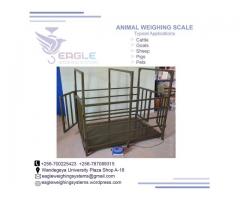 Good weighing scales for animals in Uganda
