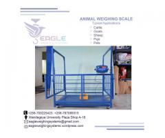 platform animal weighing digital scale