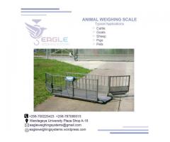 1000 kg digital animal weighing scales