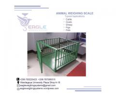 High quality cattle platform weigh scales