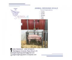 Platform balance animal weight scales