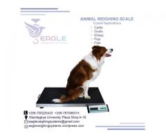 Digital animal weighing scales