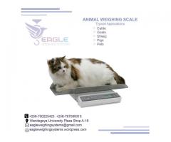Suppliers of digital Animal scales in Kampala
