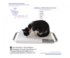 Pet platform weighing scales in Uganda