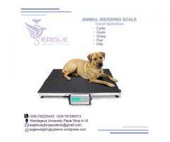 Large platform Animal electronic dog pet scale,