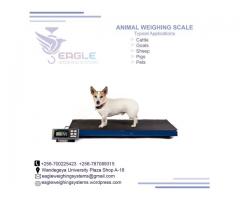 Animal High Accuracy weighing scales in Uganda