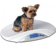 Large platform electronic dog pet scale