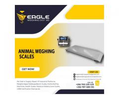 Good quality weighing scales for animals