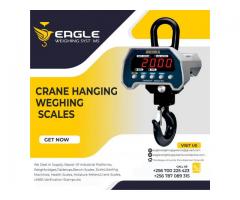 Digital Crane Portable Weigh Scales