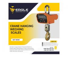 Digital crane hanging scales