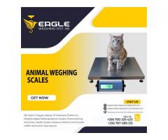 Stainless steel animal weighing scales
