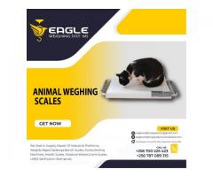 Digital platform animal weighing scales