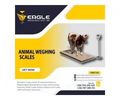 animal weighing scale with railing