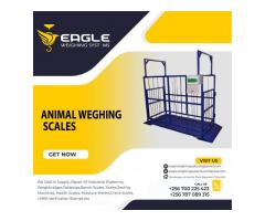 Good quality weigh scales for animals in Uganda