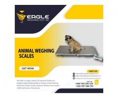 Large platform electronic dog pet scale
