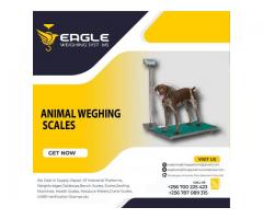 Platform floor animal weighing scales